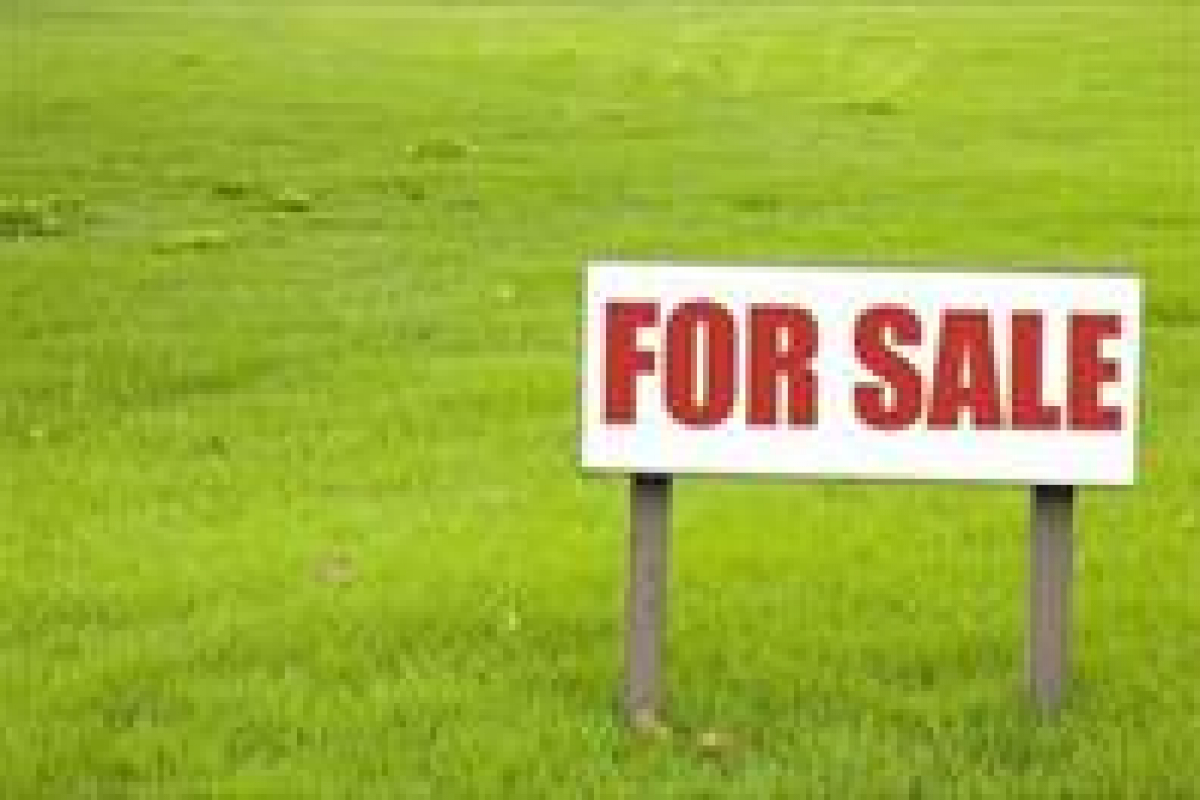 land for sale s