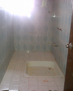 13. shower bath