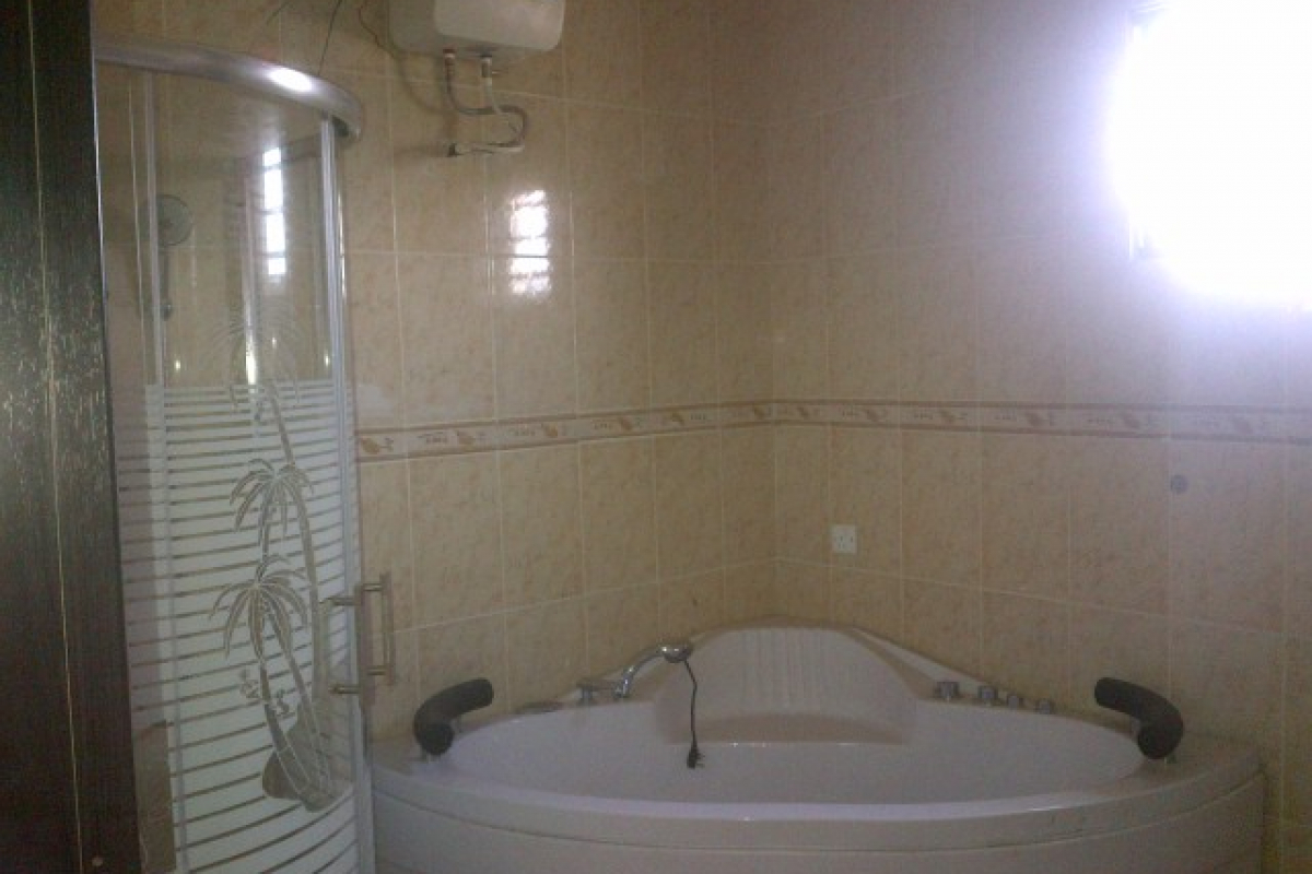 17. master jacuzzi and shower cubicle