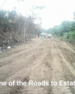 rd to estate