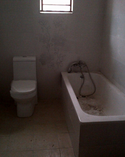 8. another toilet and bath