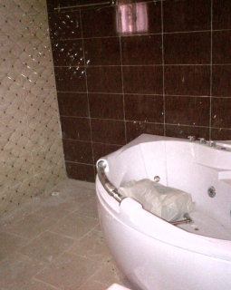 9. jacuzzi and toilet