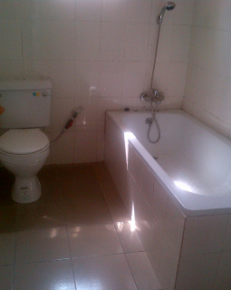 9. toilet and bath 1