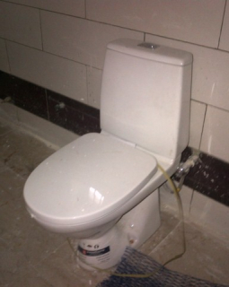 7. guest toilet