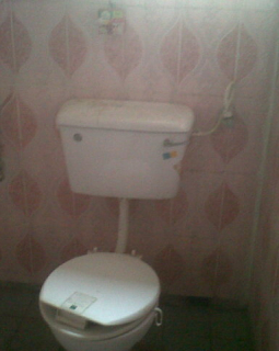 mini toilet2