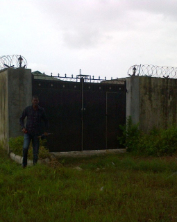 1. external gate view