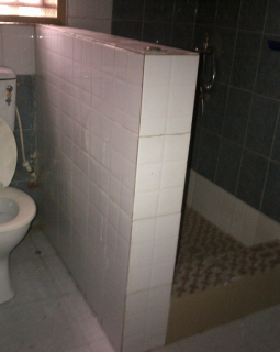 10. toilet and bath 1