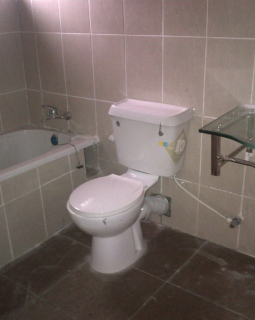 10. toilet and bath 2