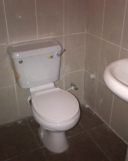 11. guest toilet 1