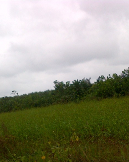 1. okun ajah land