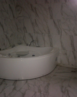 8. jacuzzi and toilet