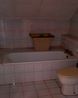 15. pent house toilet and bath