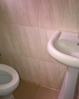 8. another toilet and bath