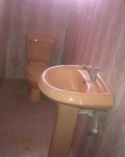12. toilet and wash hand basin