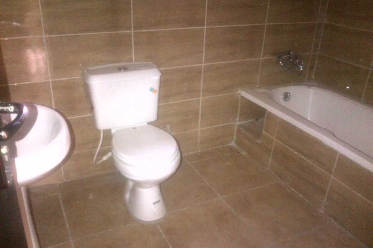 13. toilet and bath 2