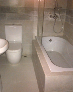 17.toilet and bath 2