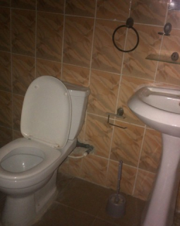 9. another toilet and bath