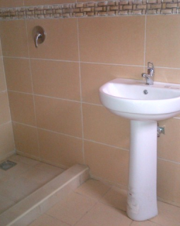 12. toilet and bath 1