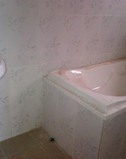 12. toilet and bath 2