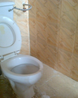 13. guest toilet