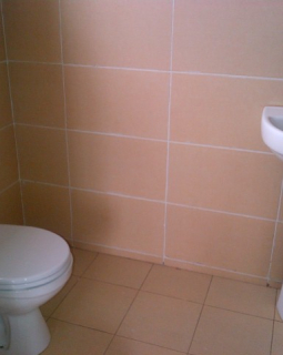 13. toilet and bath 2