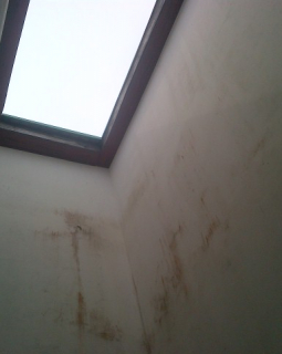 15. courtyard