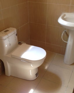 5. guest toilet