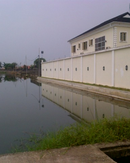 5. view 5