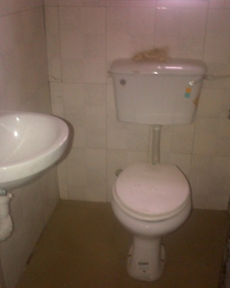 7. toilet