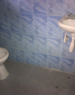 8. toilet and washhand basin