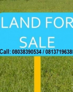 59338 29774 hot plot of land for sale for sale katampe district abuja nigeria