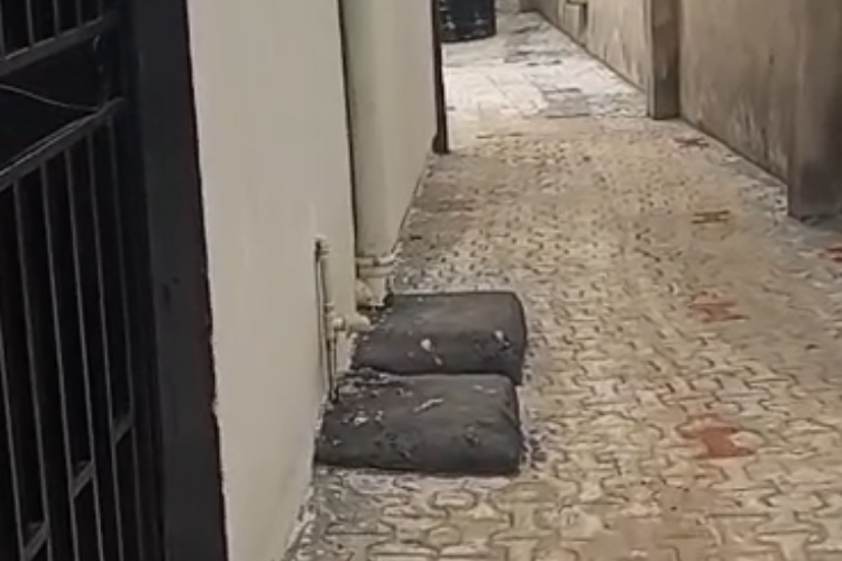 dg6JsUrvDE 2